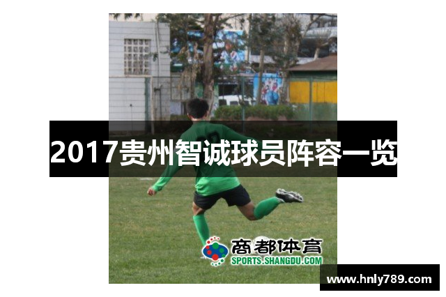 2017贵州智诚球员阵容一览